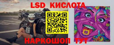 прущие грибы Гатчина