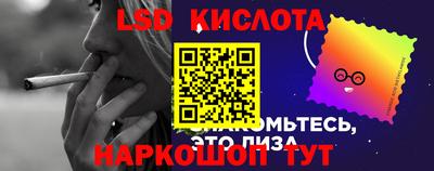 прущие грибы Гатчина
