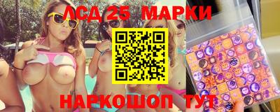 прущие грибы Гатчина