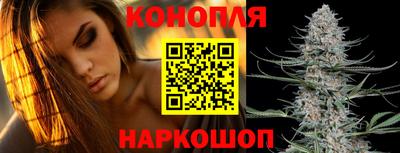 метадон Гай