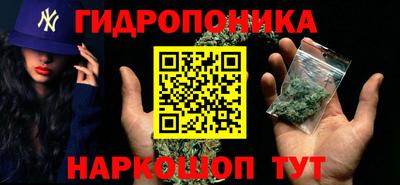 прущие грибы Гатчина