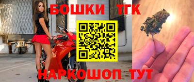 прущие грибы Гатчина