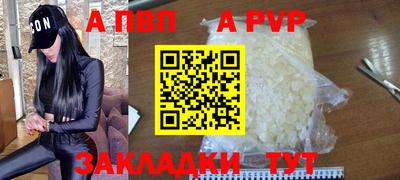 прущие грибы Гатчина