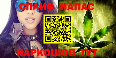прущие грибы Гатчина