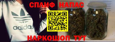прущие грибы Гатчина