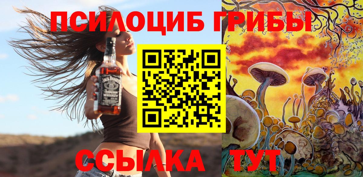Псилоцибиновые грибы прущие грибы Истра